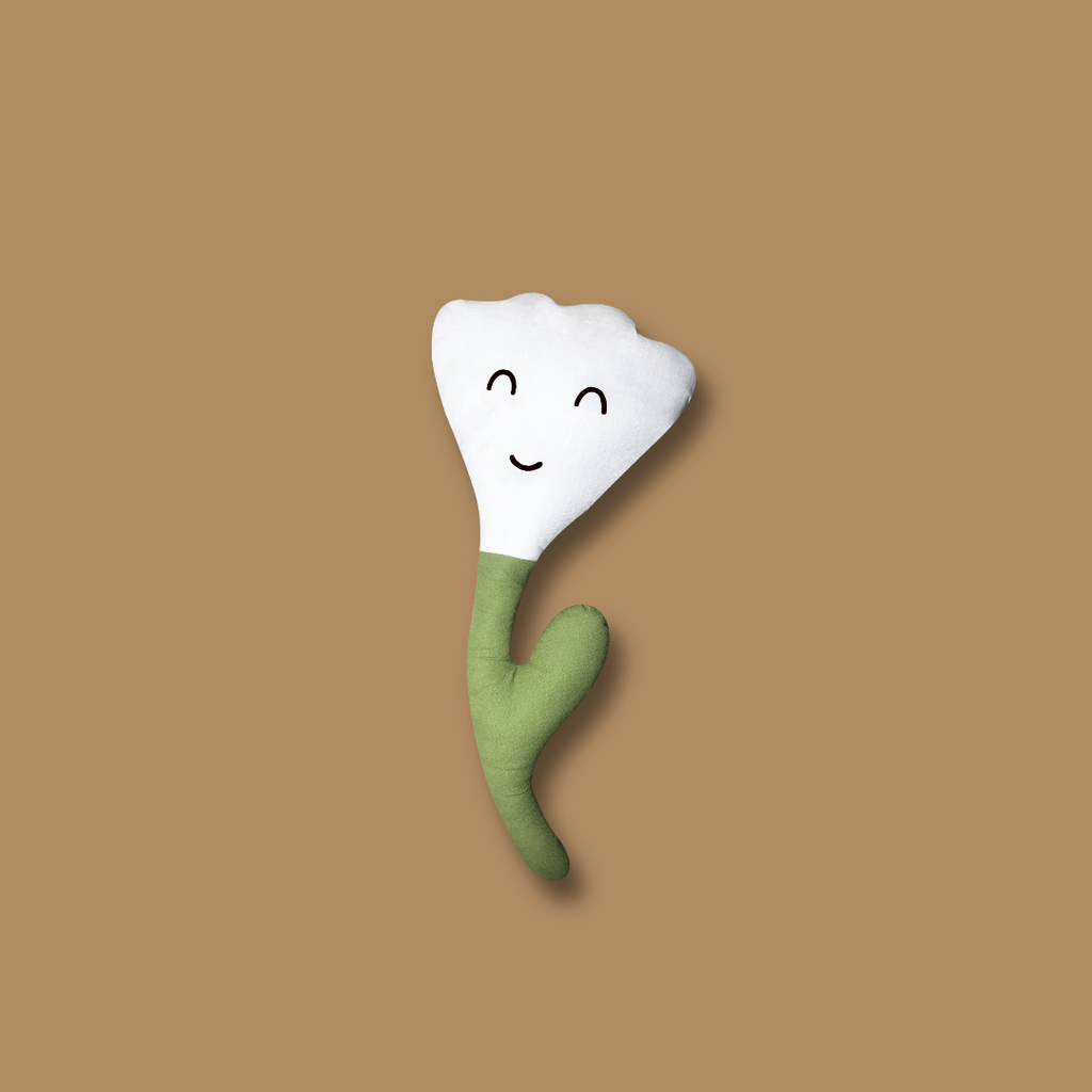 Flora